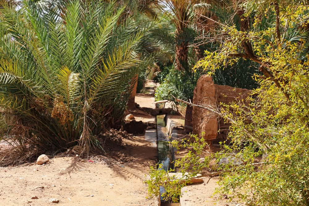 4 dages tur fra Casablanca til Marrakesh via ørkenen
