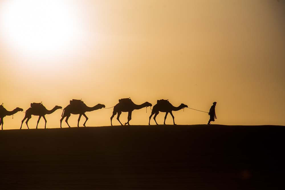 4 dages tur fra Casablanca til Marrakesh via ørkenen