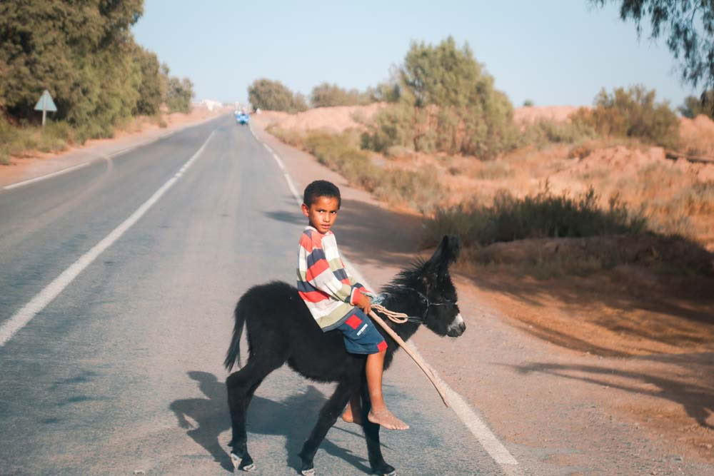 4 dages tur fra Casablanca til Marrakesh via ørkenen