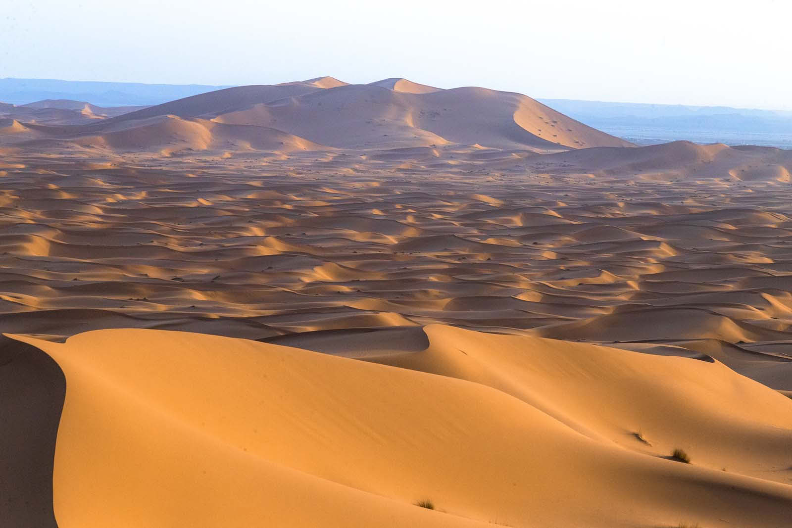 4 dages tur fra Casablanca til Marrakesh via ørkenen