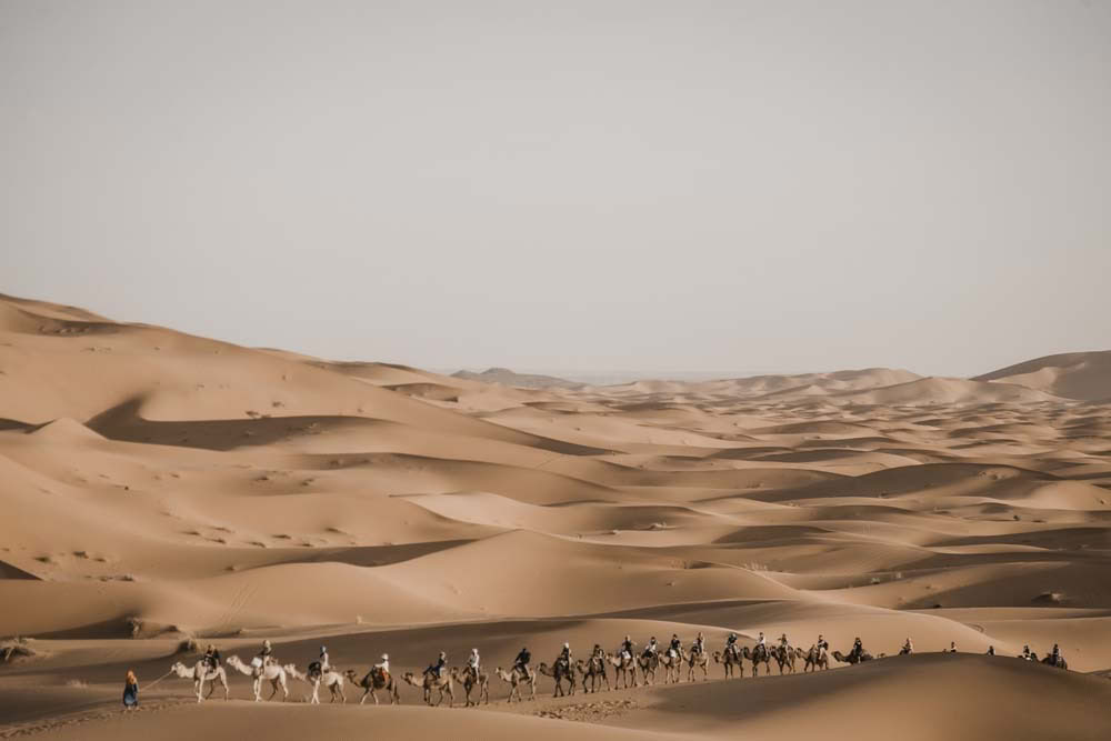 5 dage – Rundrejse fra Marrakech til Saharaørkenen via Zagora