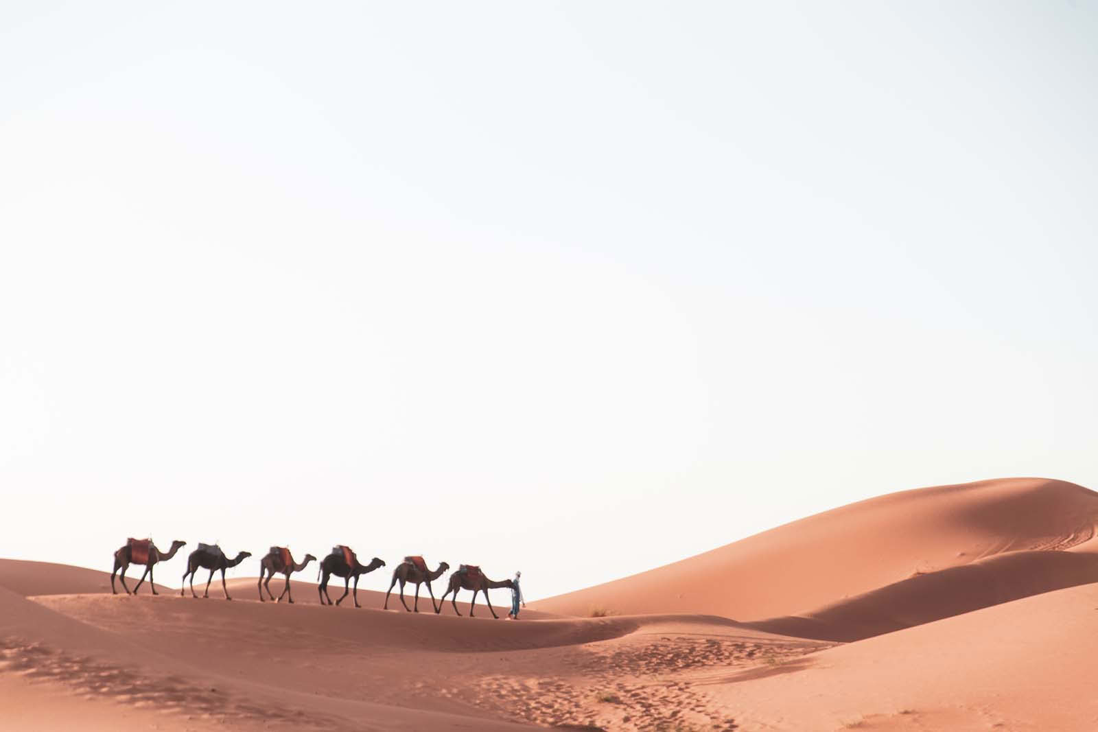 6 dages autentisk ørkentur fra Marrakech