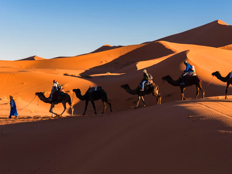 5 dages tur fra Casablanca til Chefchaouen