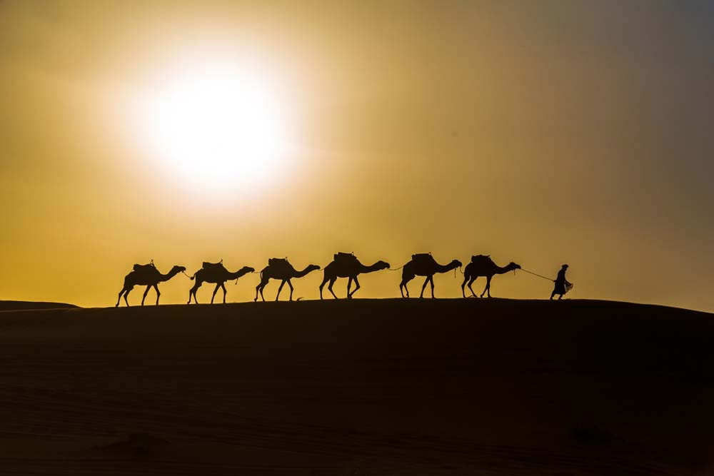 5 dages rejse fra Casablanca til Fes via ørkenen