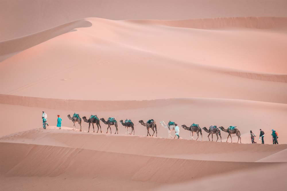 9 dages tur fra Marrakesh til ørkenen og Casablanca
