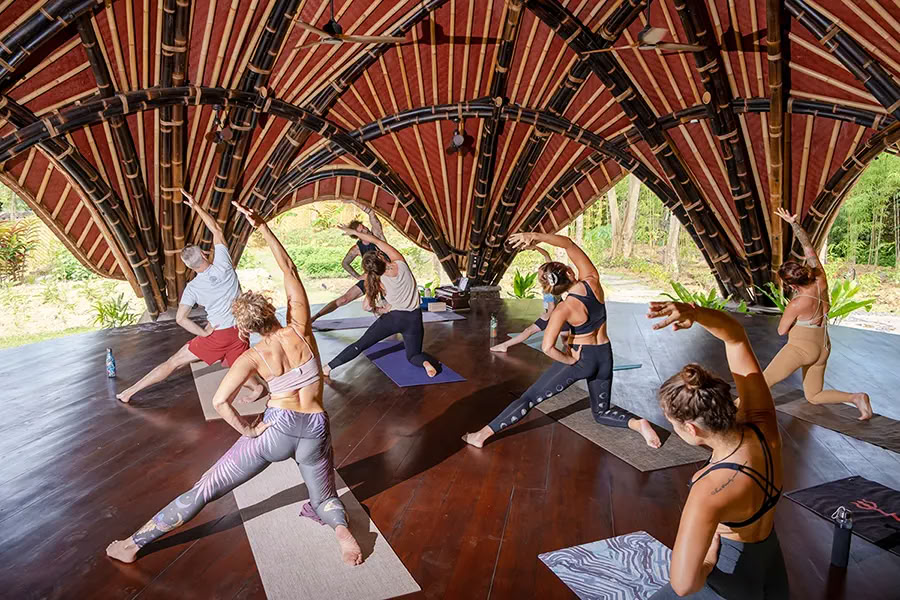 Vaidika Dharma: 100-timers SPIRIT yoga-læreruddannelse