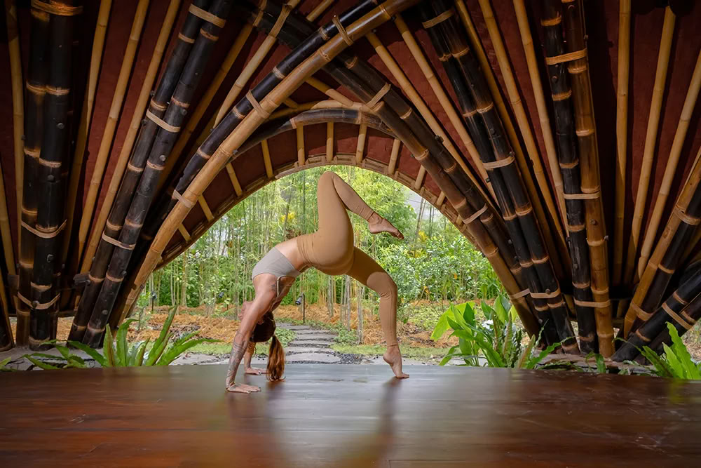 Vaidika Dharma: 100-timers SPIRIT yoga-læreruddannelse