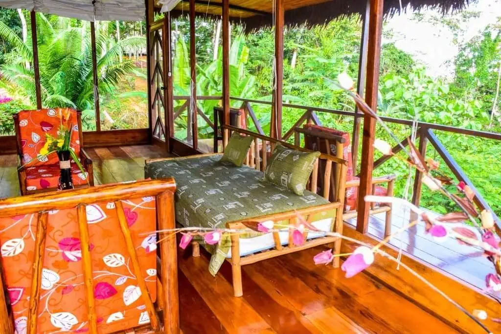 5 dages ayahuasca- og San Pedro-retreat