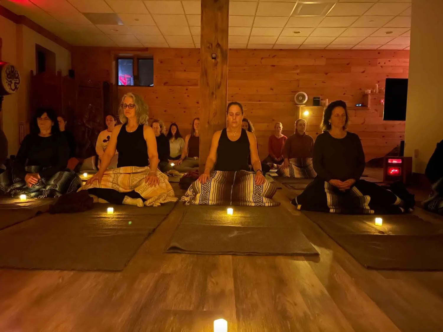 220-timers Ayurveda-fundamentuddannelse