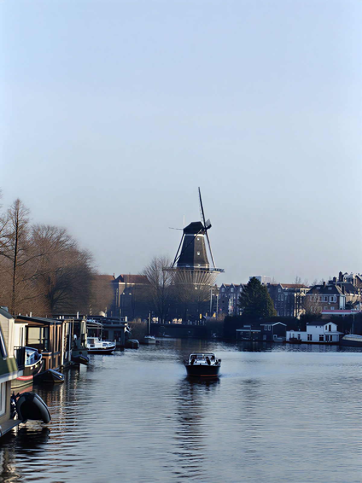 21-dages privat psilocybin-mikrodoseringsretreat i Amsterdam
