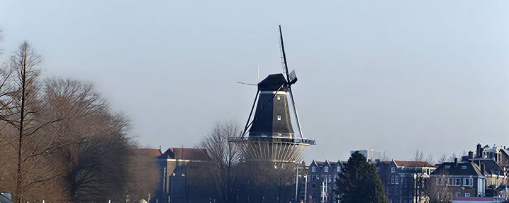 21-dages privat psilocybin-mikrodoseringsretreat i Amsterdam