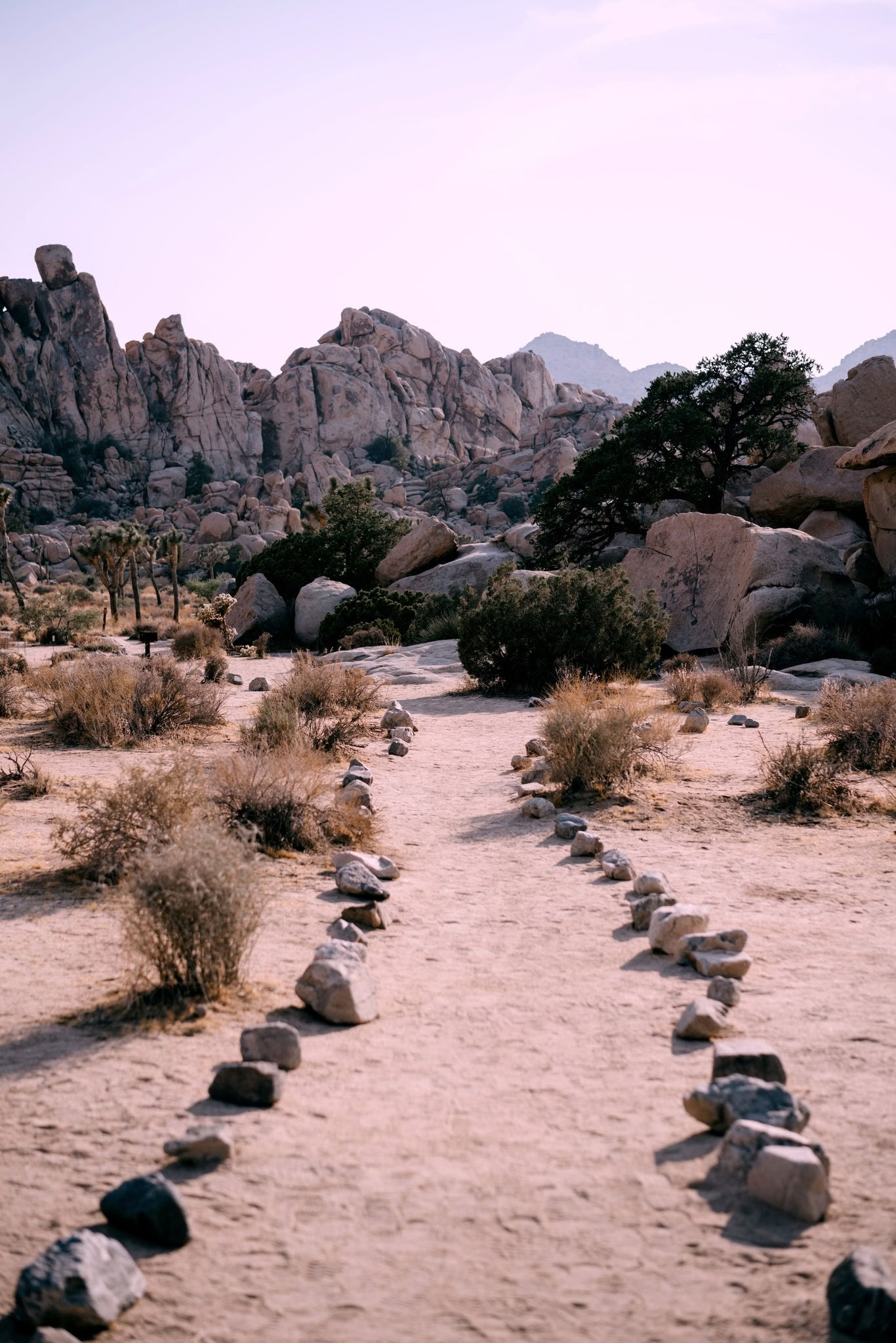 Ørkenens helende åndedrætsoplevelse - Palm Springs