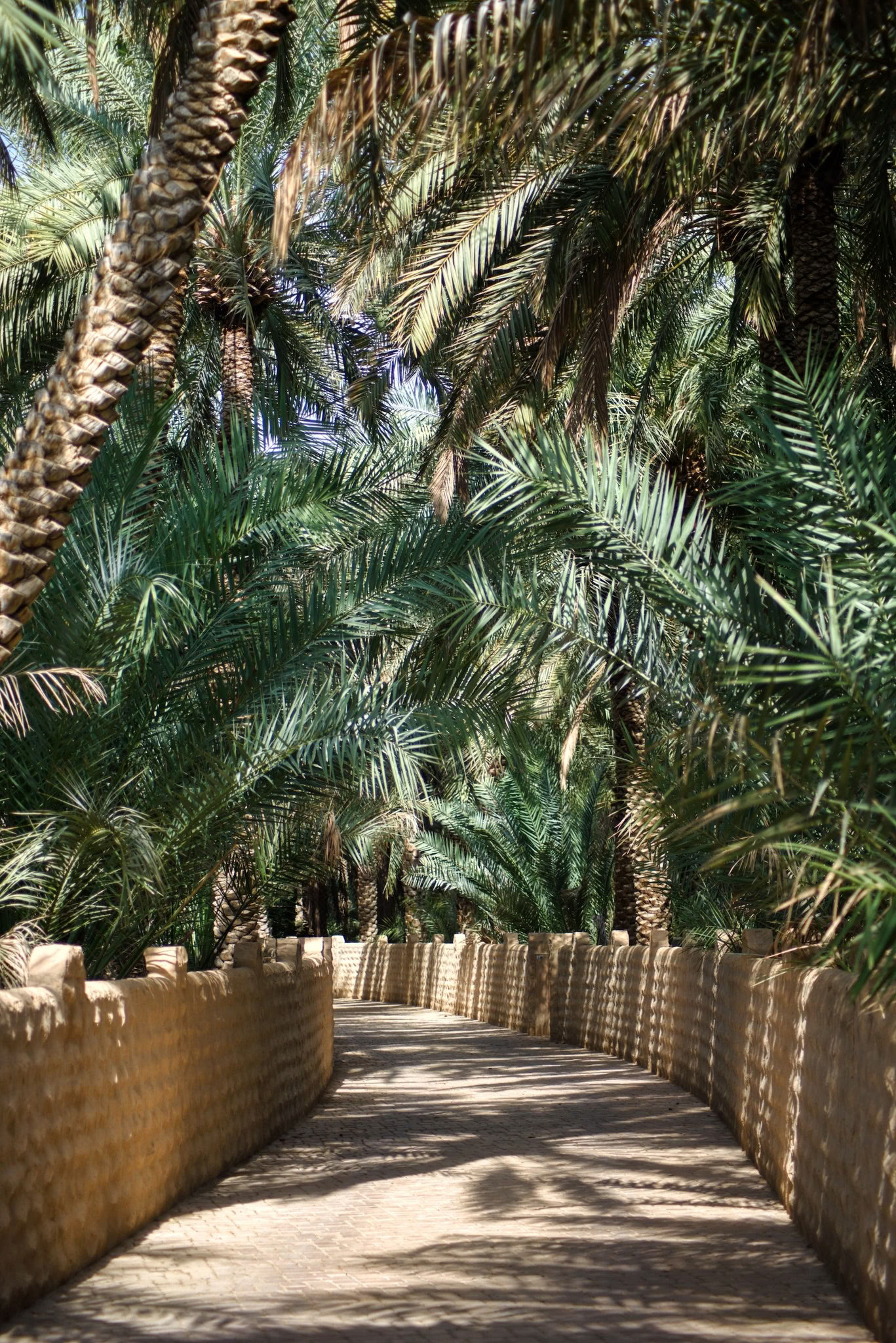 Blomsterkrone-workshop - Palm Springs