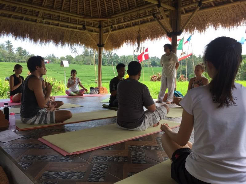 BALIGRASS - Selvhealing med det gamle og meditation