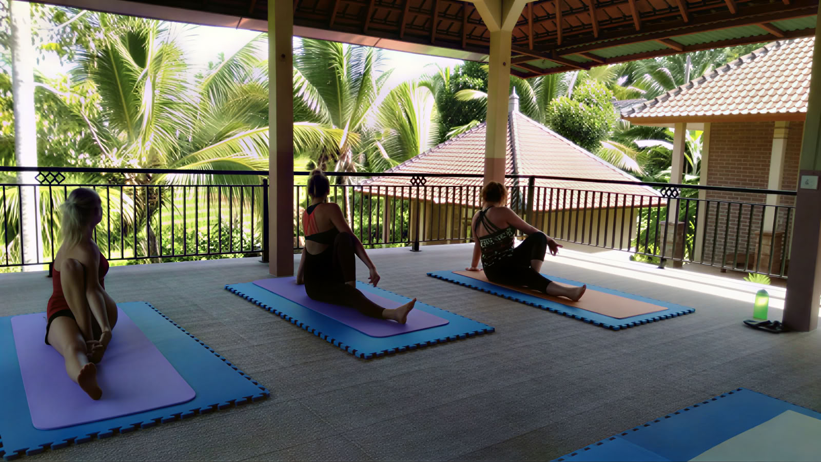 BALIGRASS - Selvhealing med det gamle og meditation