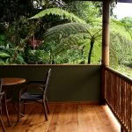 Darshan-retreats