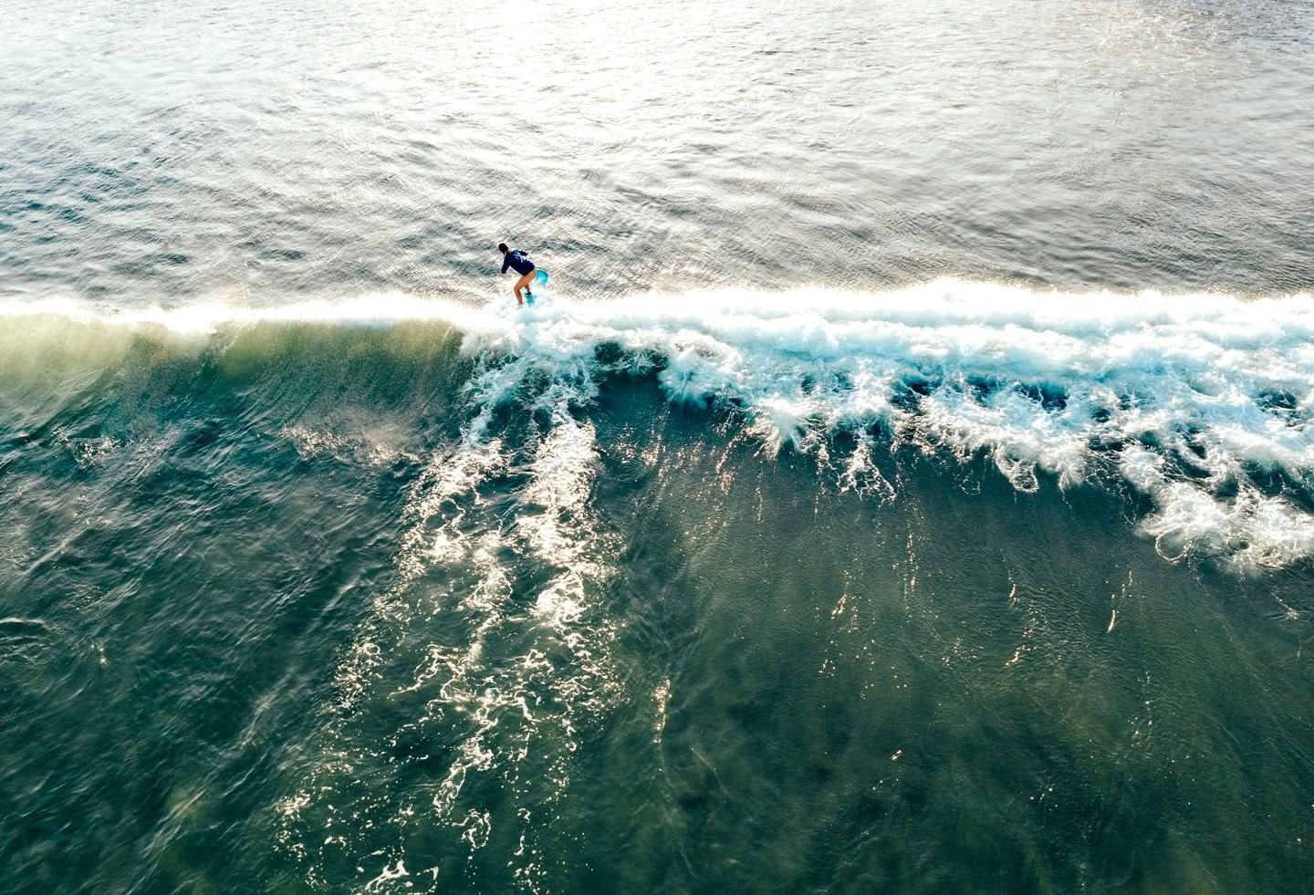 Surf & nulstil – Thanksgiving-uge: 22. november – 29. november