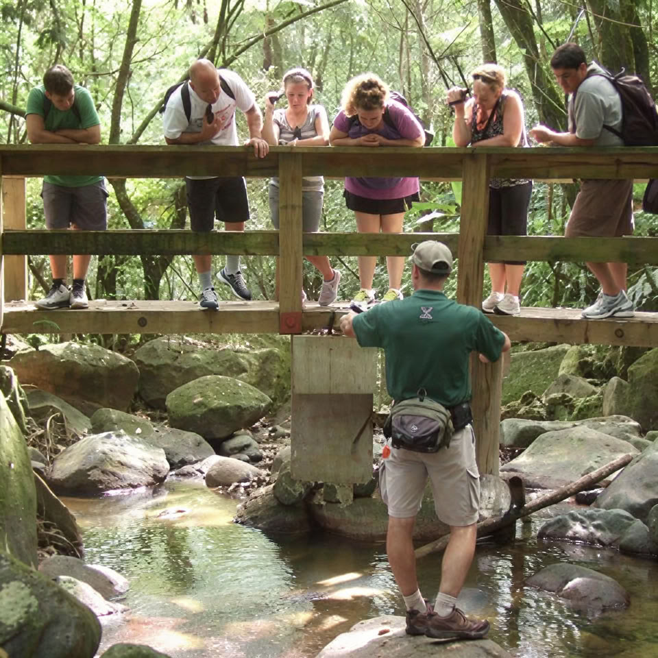 Natvandring i El Yunque-regnskoven