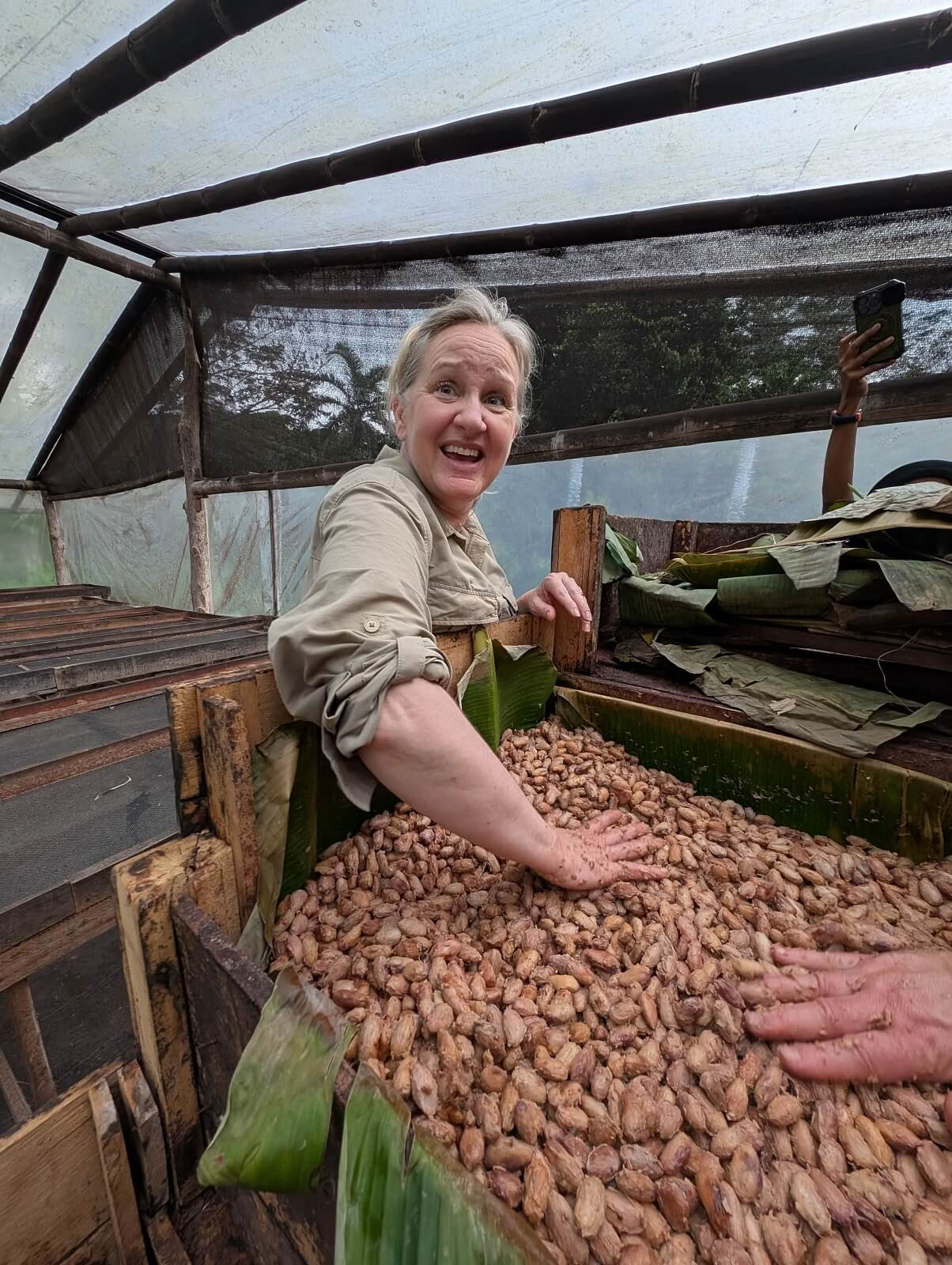 Workshop i fremstilling af chokolade fra bønne til bar