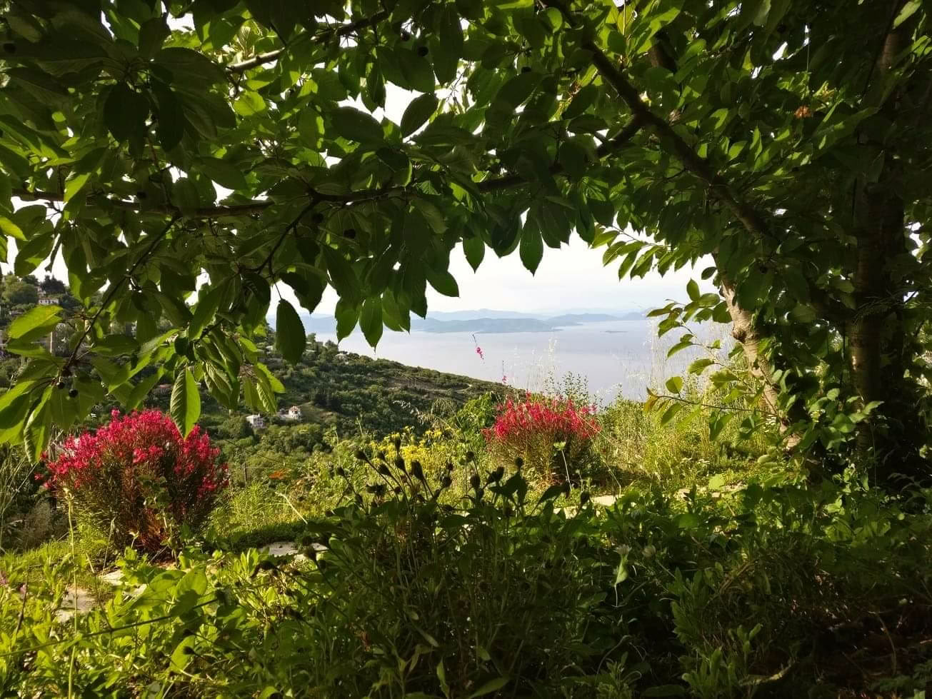Selvopvågningsretreat