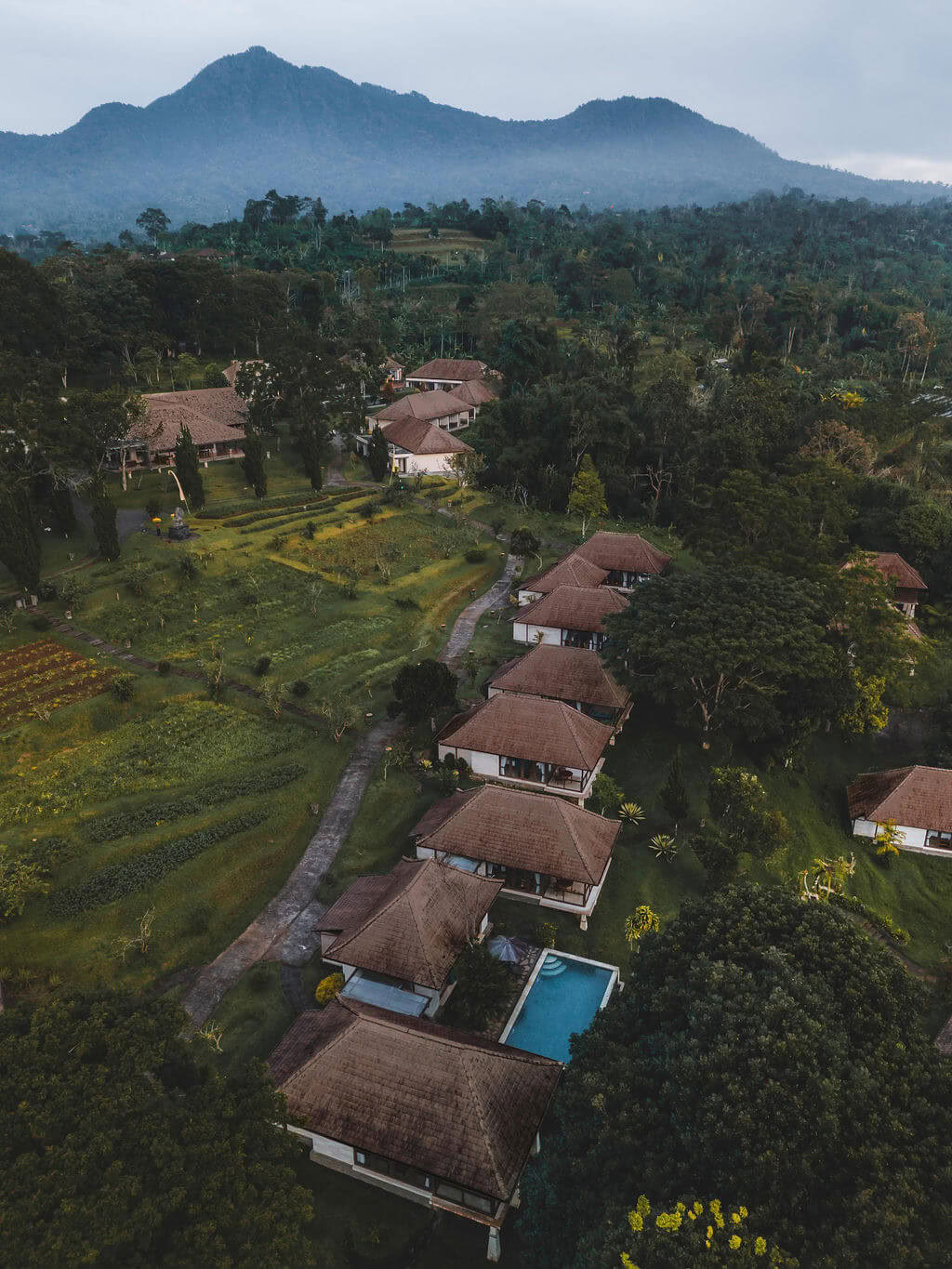 Meditationslæreruddannelse på Bali, Pelaga