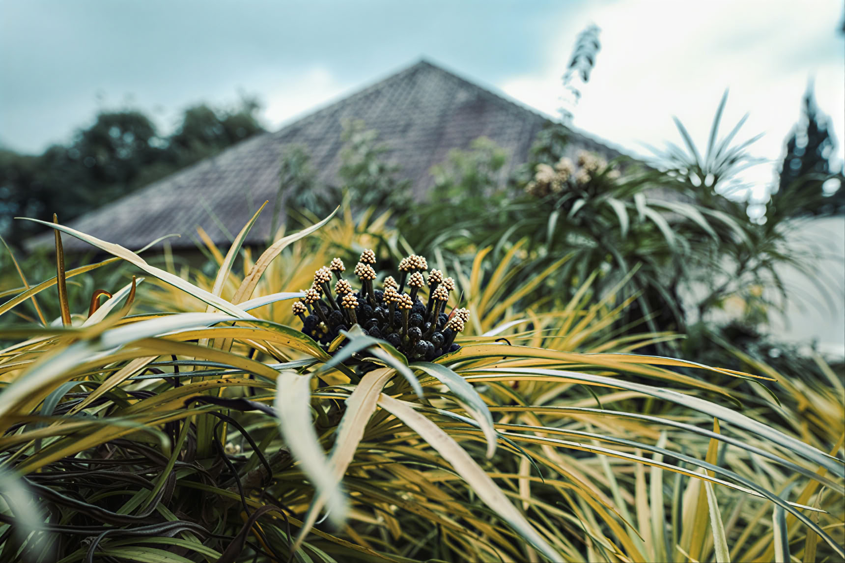 200-timers YTT i Pelaga, Bali – 26. okt. – 14. nov. 2026