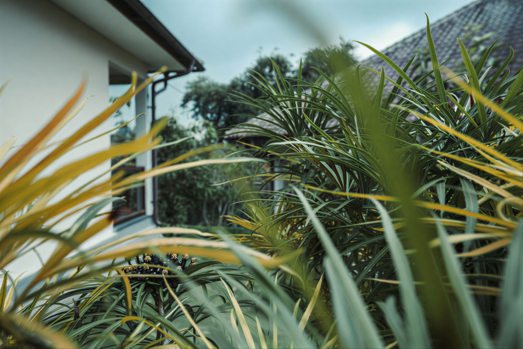 200-timers YTT i Pelaga, Bali – 26. okt. – 14. nov. 2026