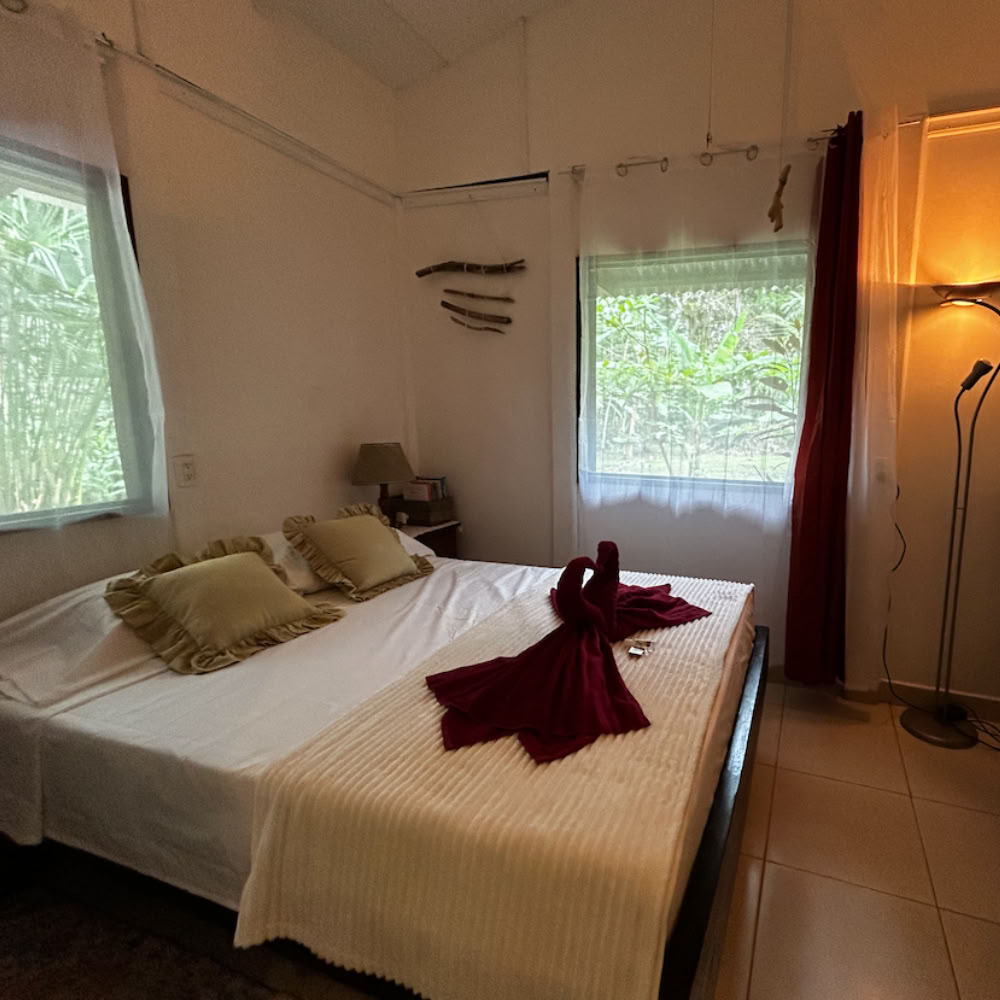 Hjemmets fristed Ayahuasca-retreat – 5. - 12. december