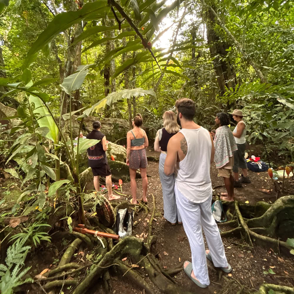Shipibo-healingsretreat