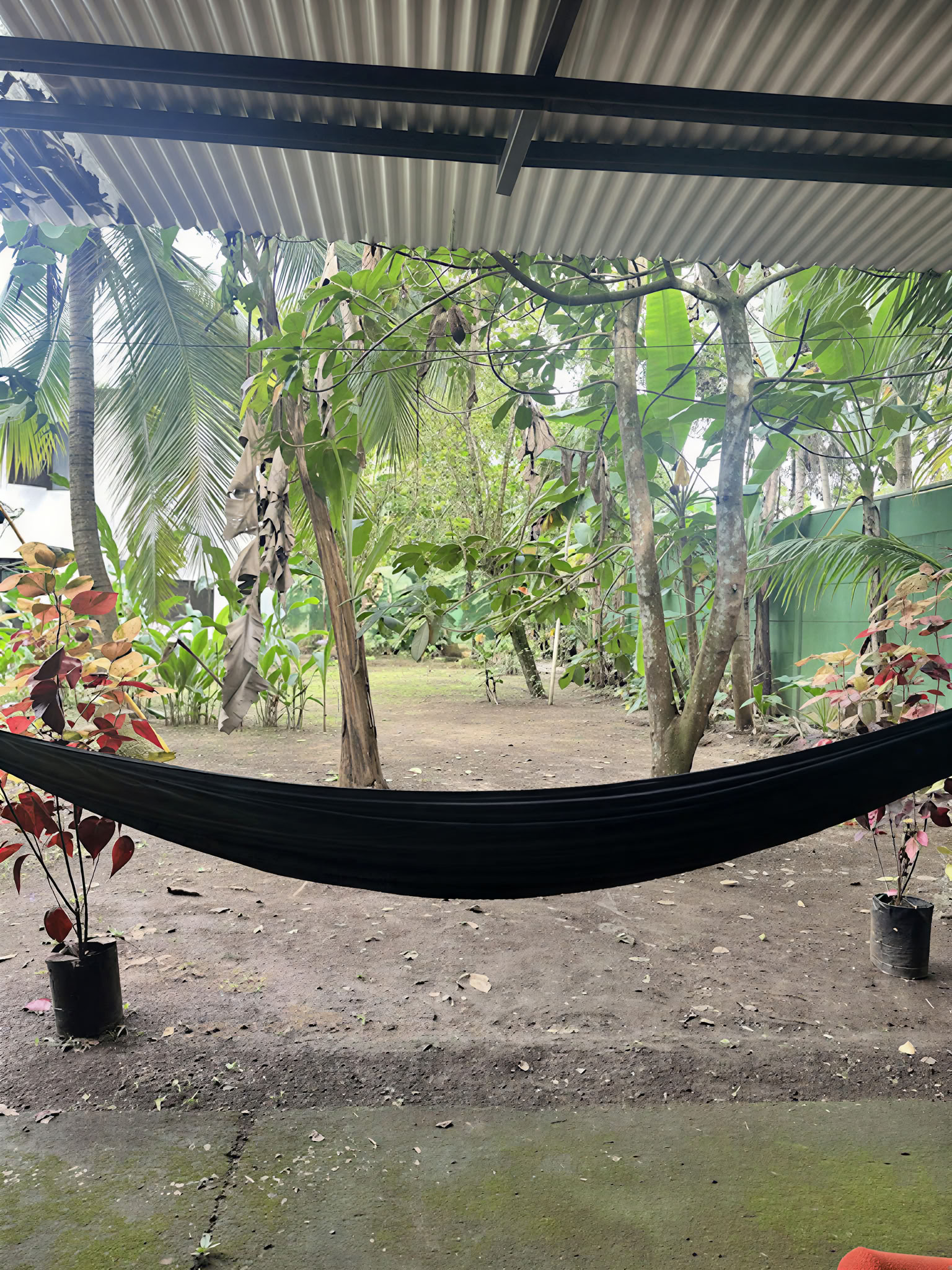 Shipibo-healingsretreat