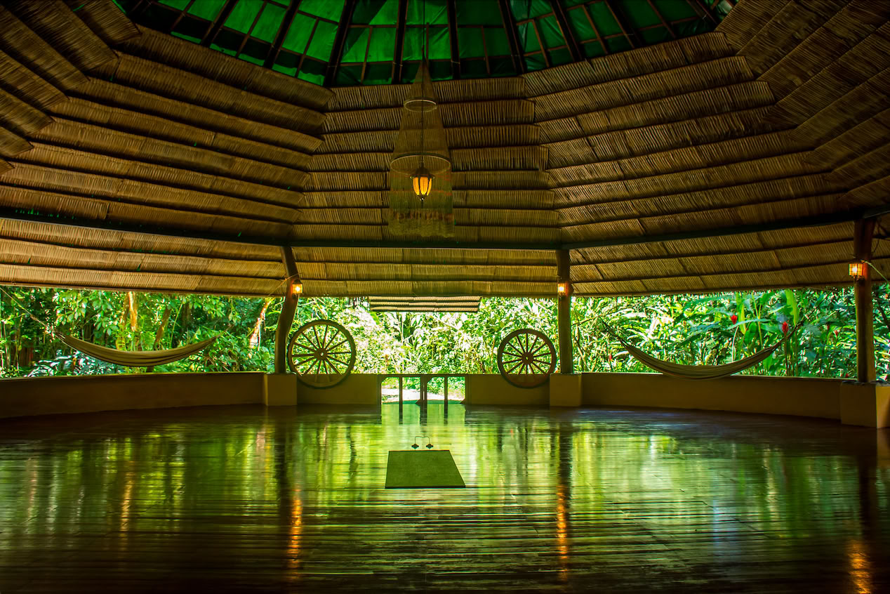 Shipibo-healingsretreat