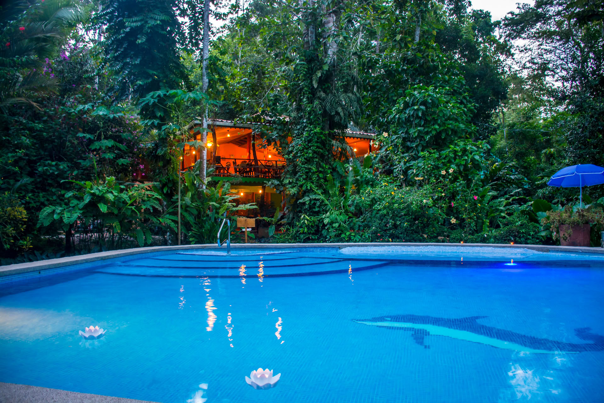 Shipibo-healingsretreat