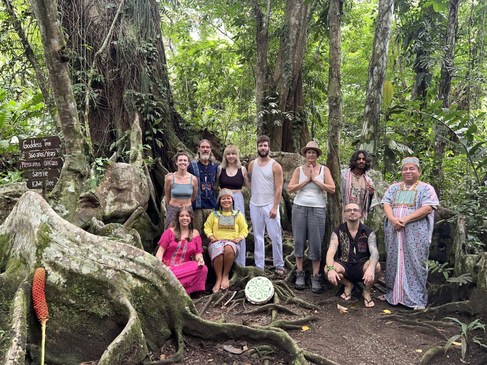 Shipibo-healingsretreat