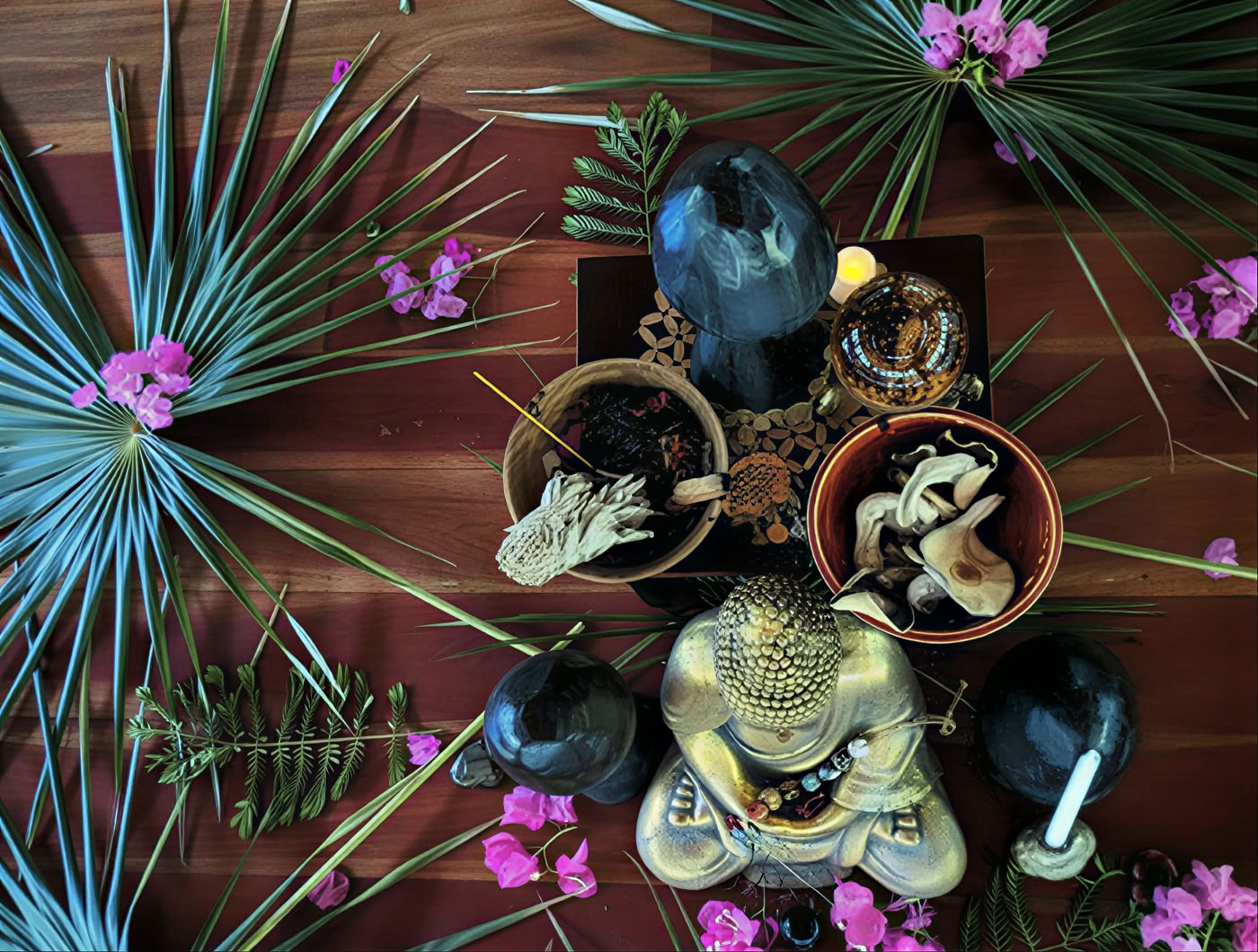 6-dages psilocybin-retreatprogram