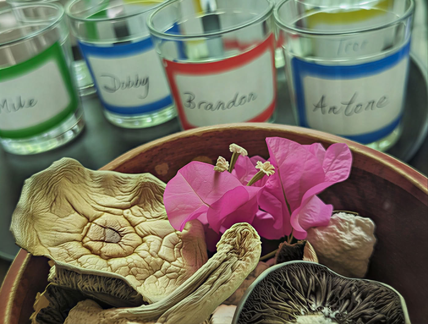 6-dages psilocybin-retreatprogram