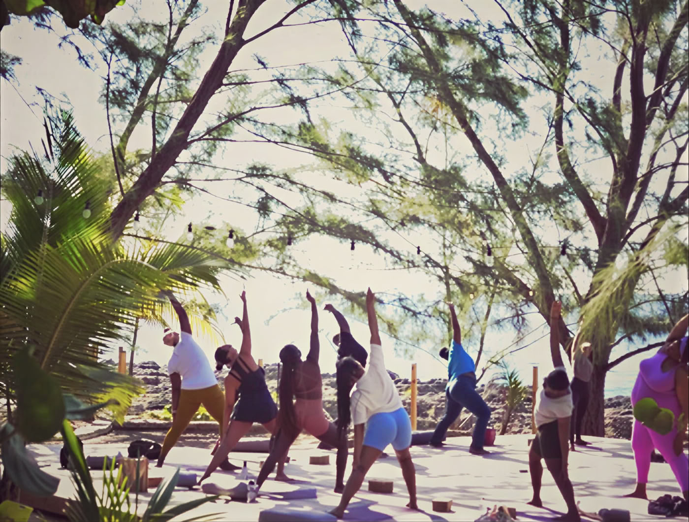 6-dages psilocybin-retreatprogram