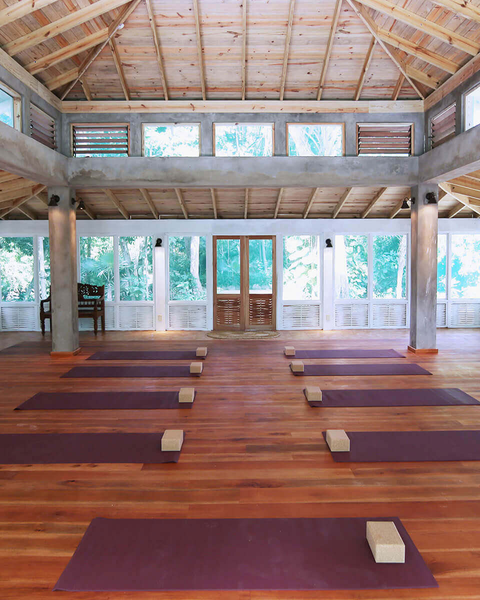 6-dages psilocybin-retreatprogram