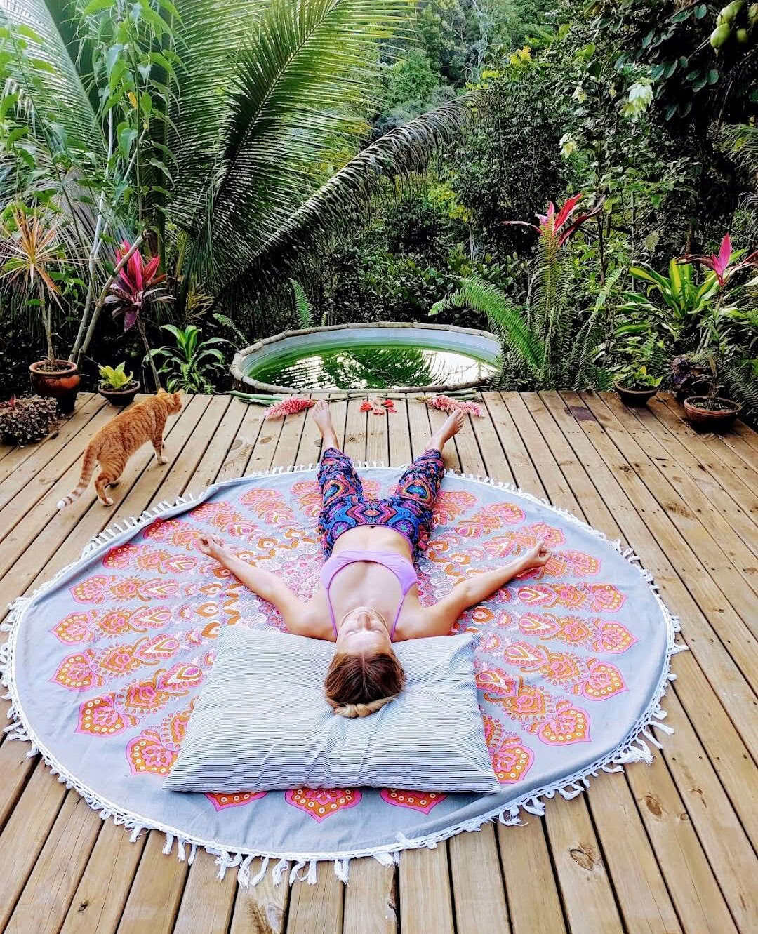 4-dages privat ayahuasca-retreat