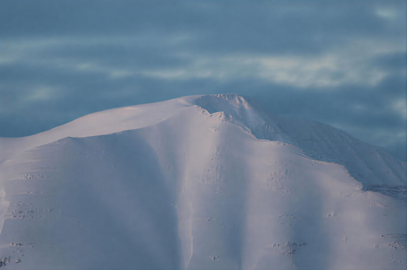 Hvalsafari i Akureyri
