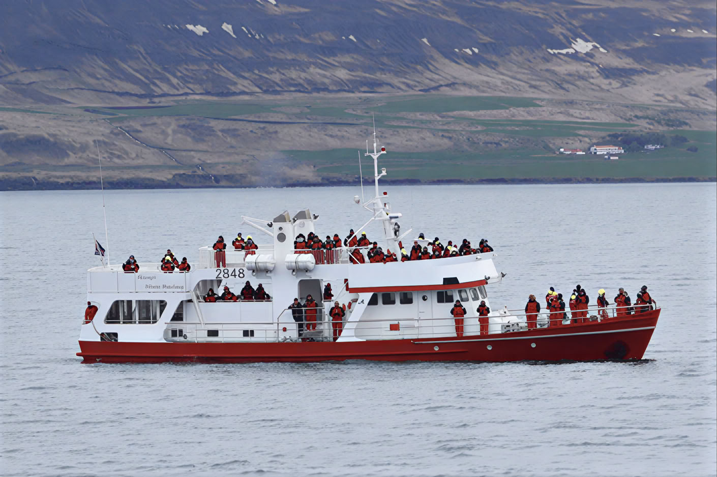 Hvalsafari i Akureyri