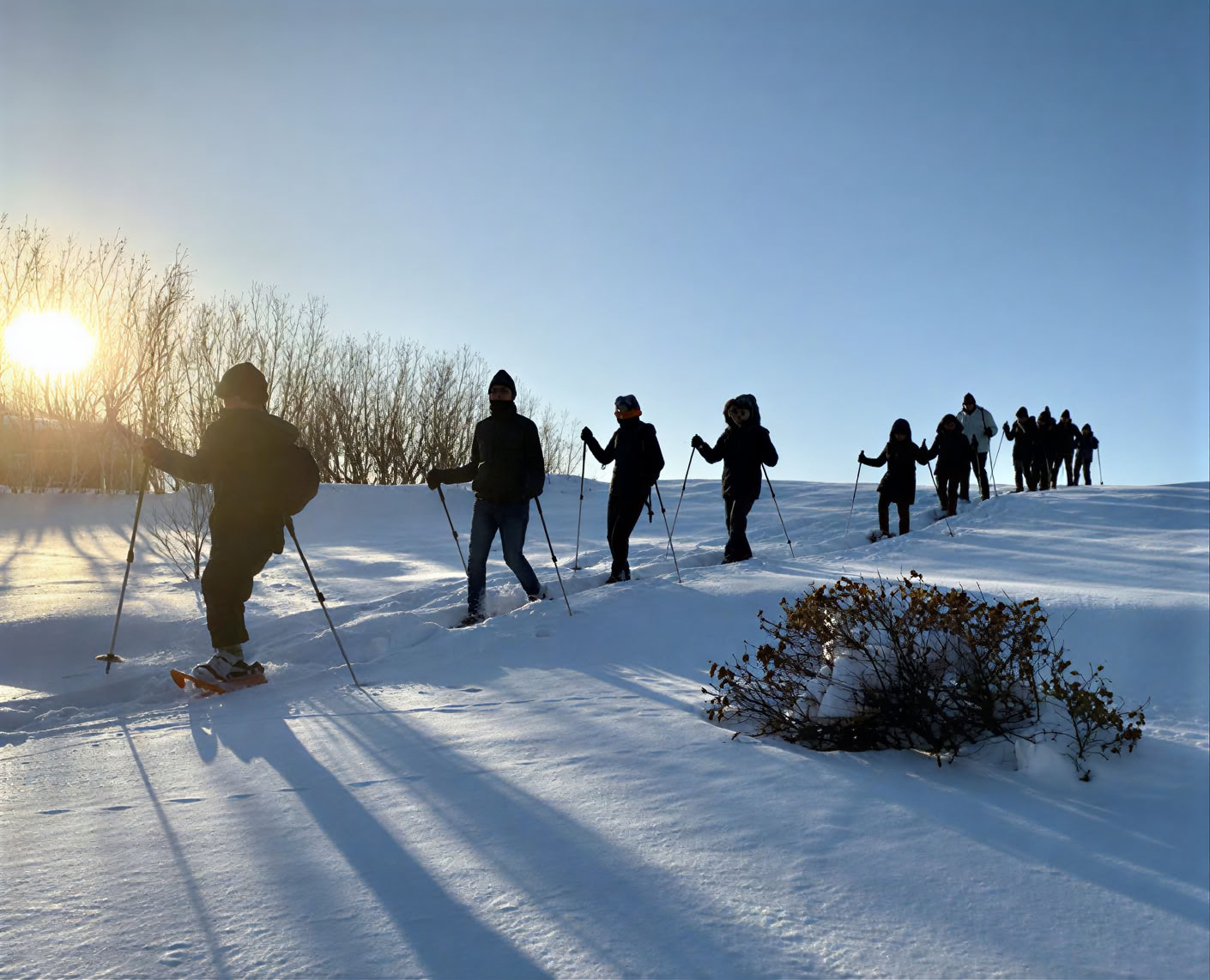 Yoga-retreat under nordlyset på Island – datoer vinteren 2026