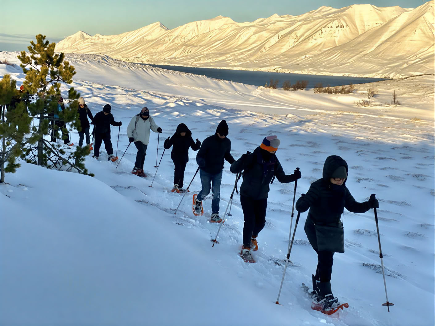 Yoga-retreat under nordlyset på Island – datoer vinteren 2026