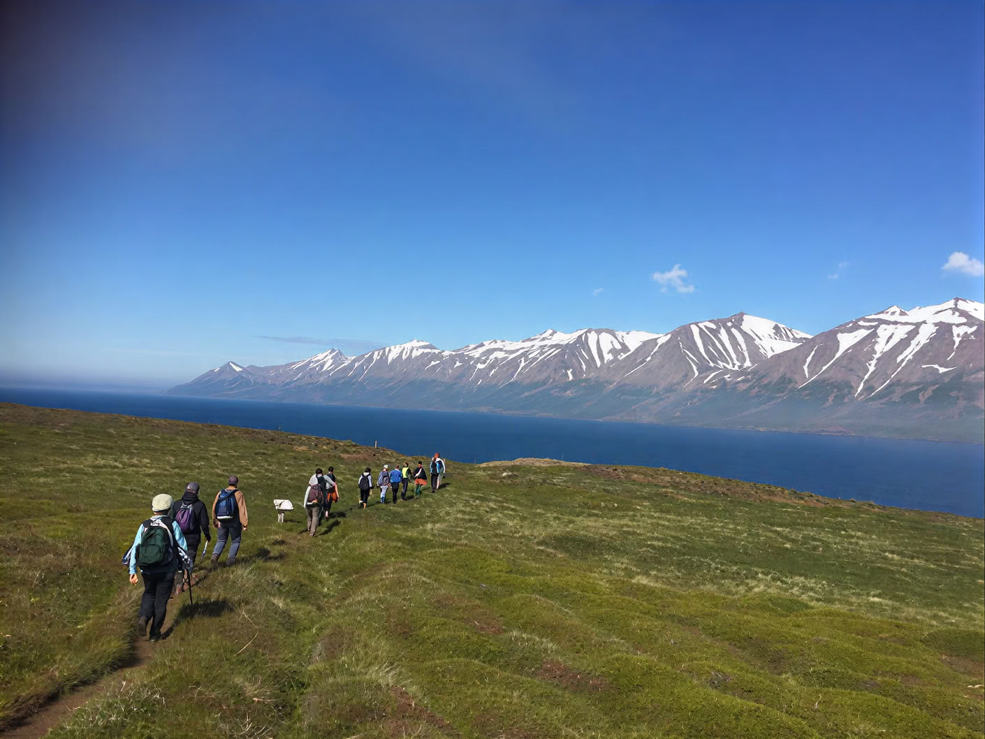 Yoga og vandretur-retreat under midnatssolen på Island – Datoer 2026