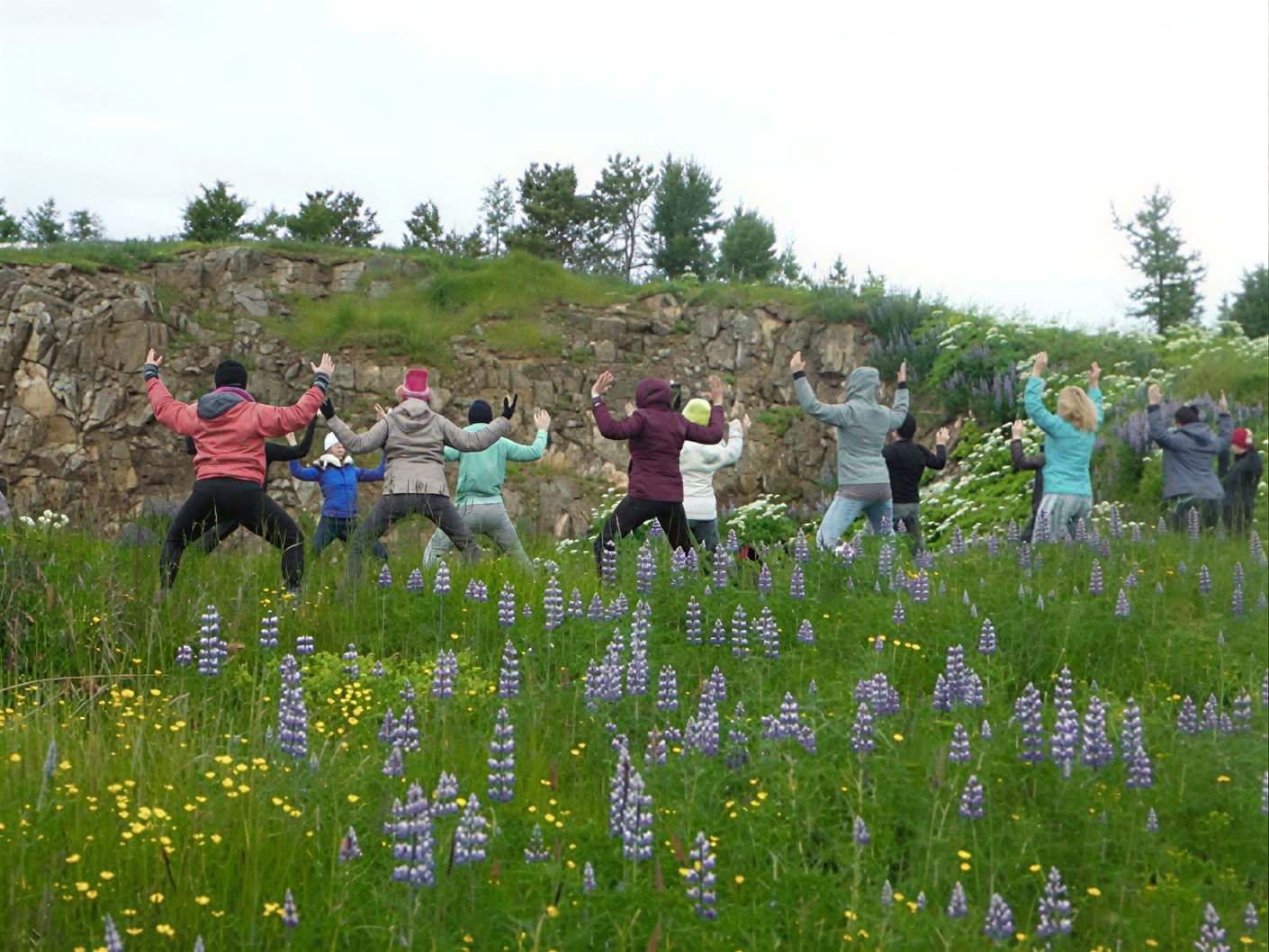 Yoga og vandretur-retreat under midnatssolen på Island – Datoer 2026