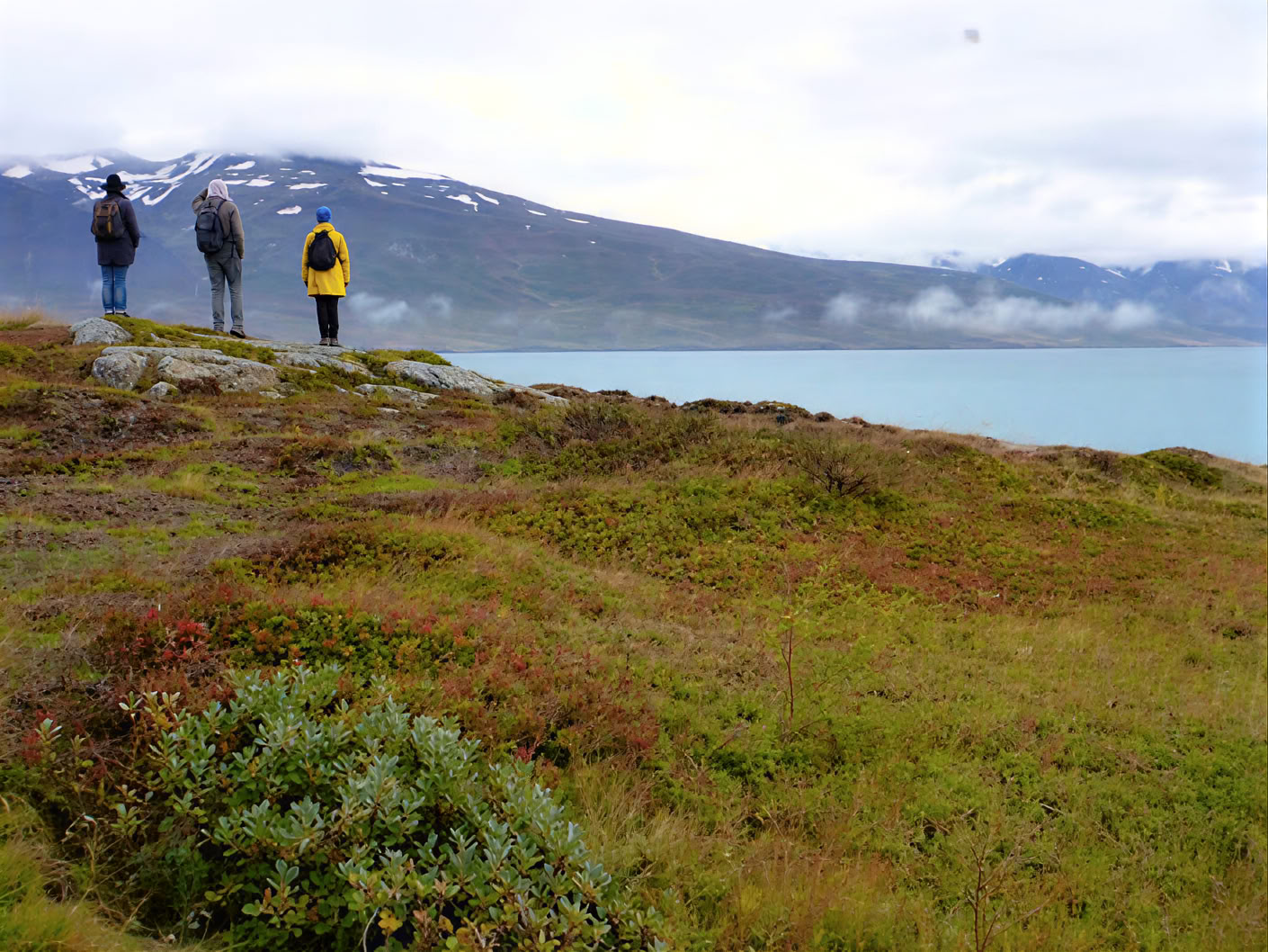 Yoga & vandretur gyldent efterårsretreat Island – Datoer 2026