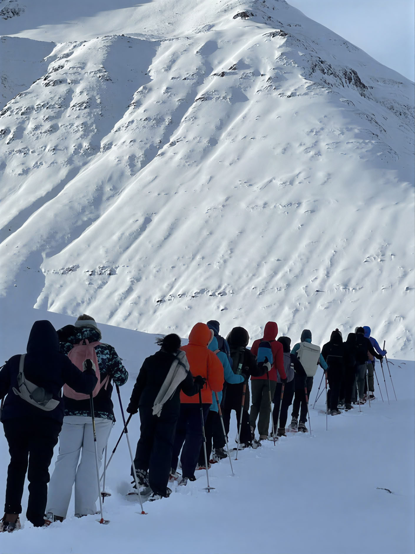 Yoga & vandretur gyldent efterårsretreat Island – Datoer 2026