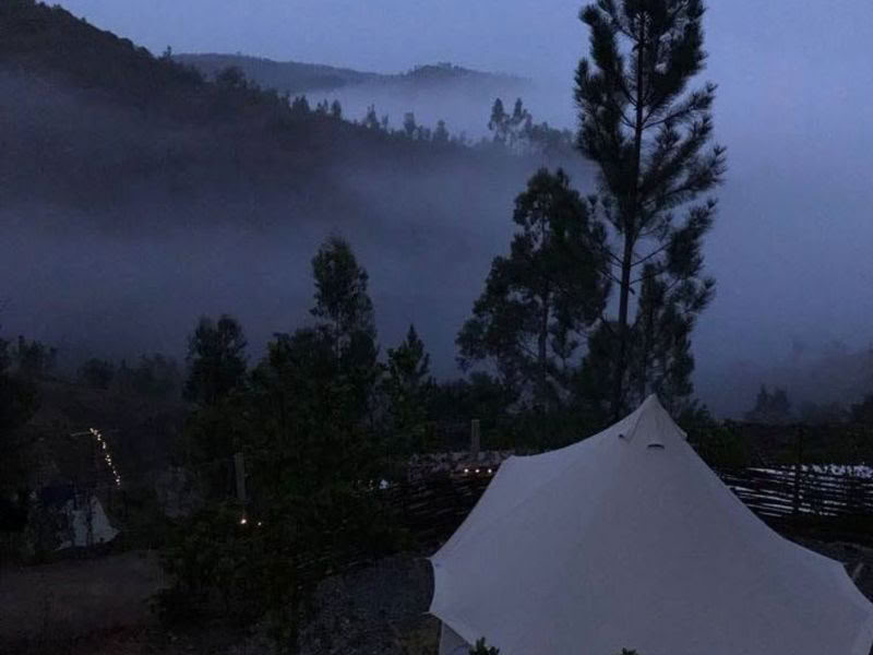 Føniks rejser sig - Et visionssøgningsretreat