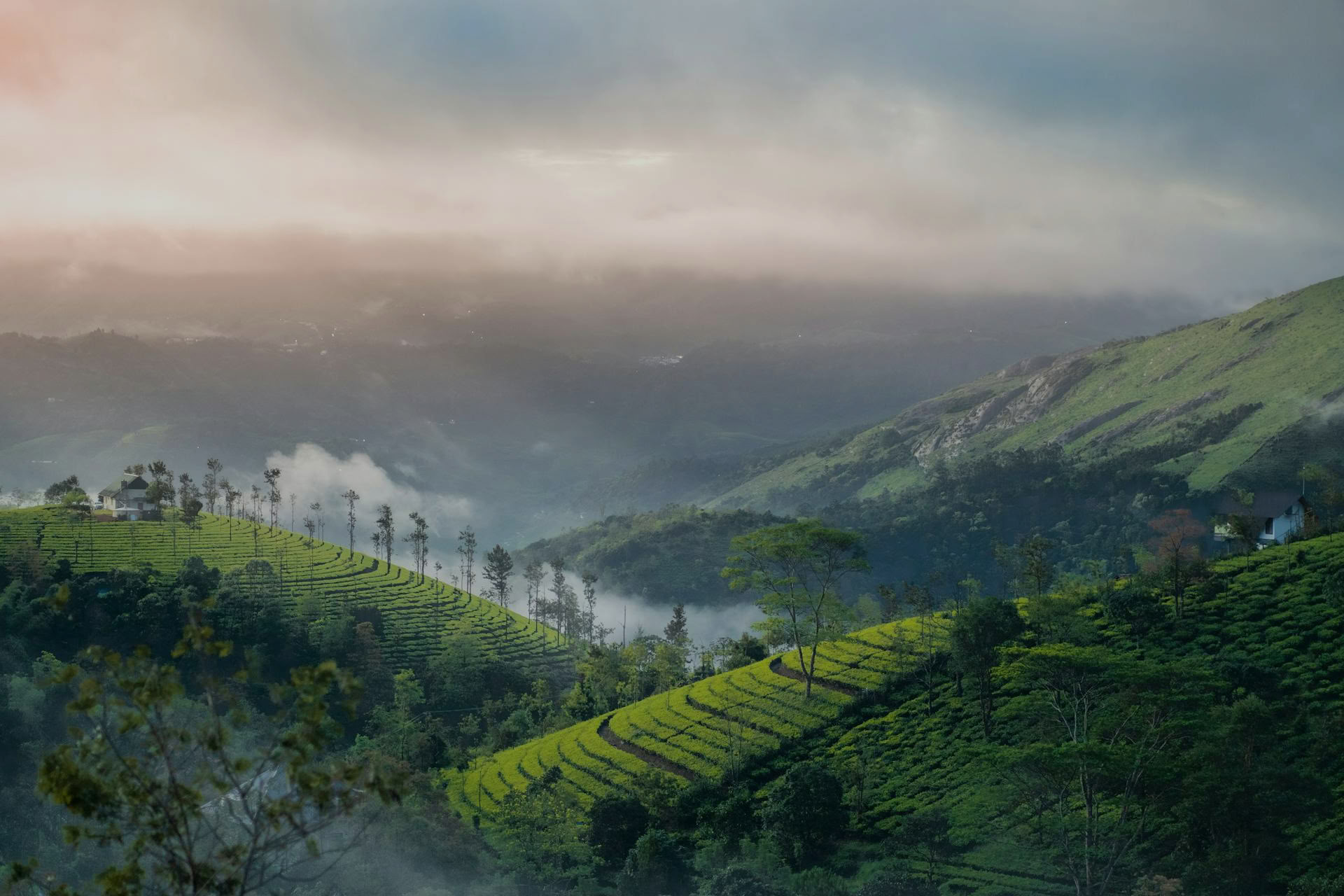 Yoga-retreats i Kerala med Ira Trivedi