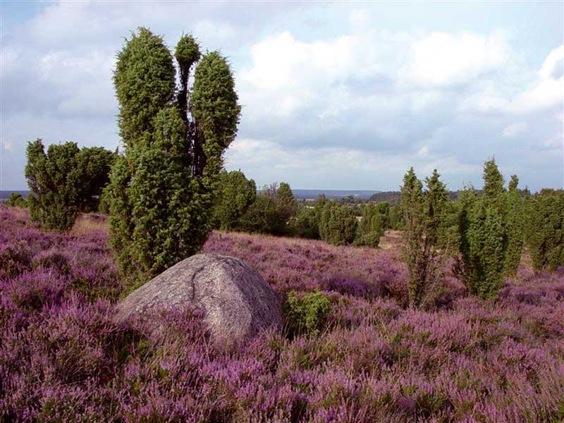 Fastekursus med vandreture og yoga