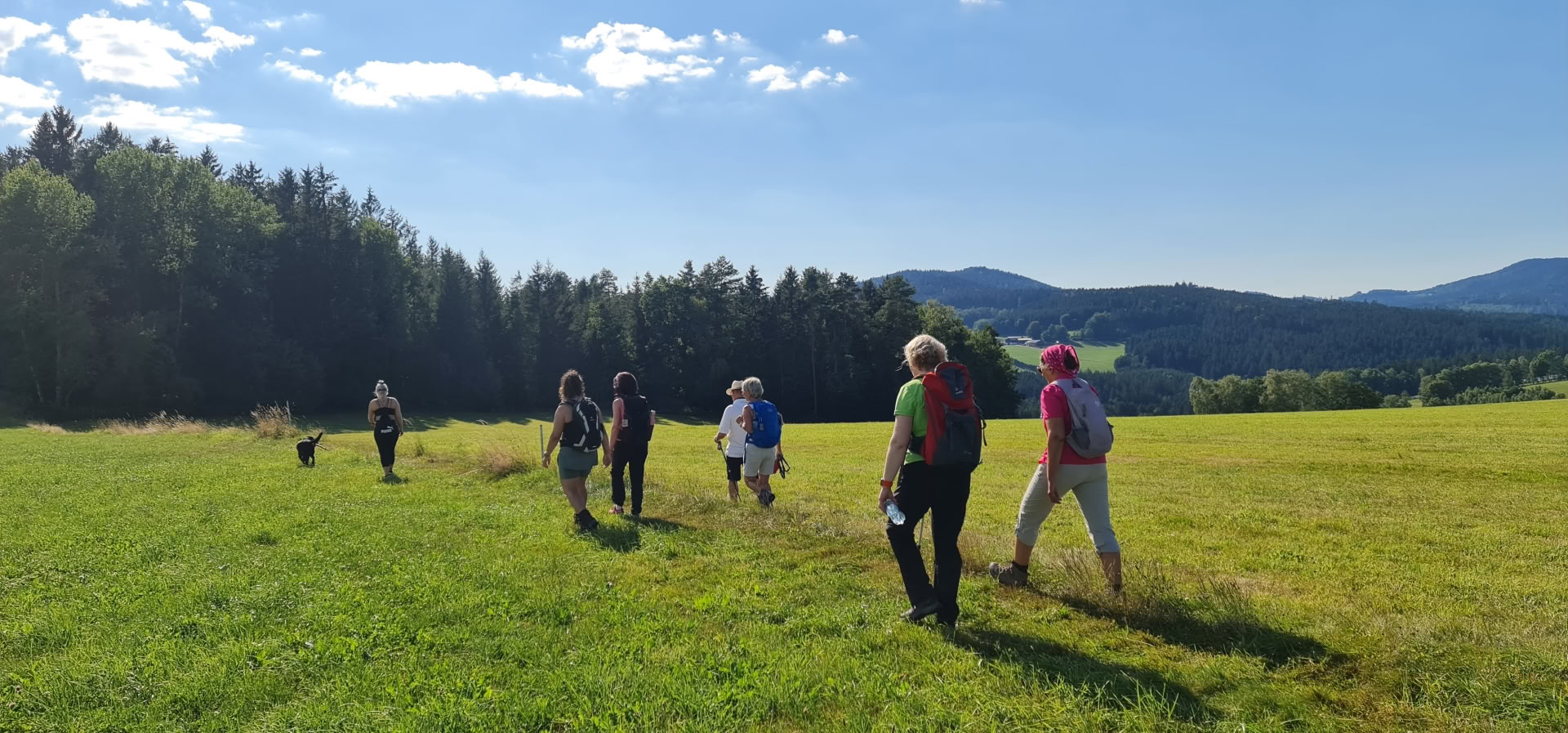 Fastekursus med vandreture og yoga